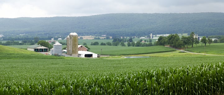 organic agriculture