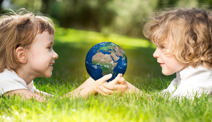 organic fertilizer organic fertilizer