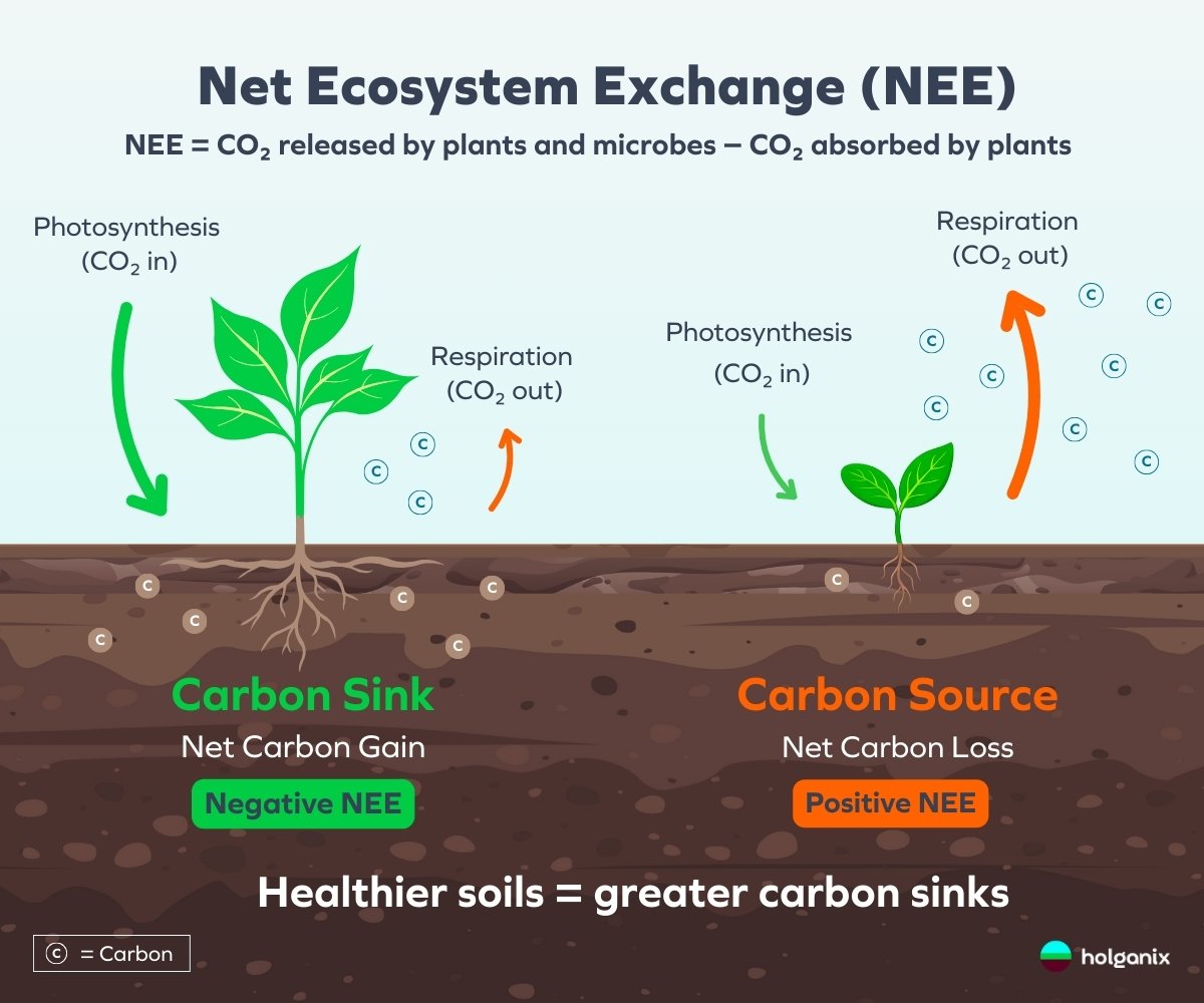 Holganix - Blog Dec 2025 - Net Ecosystem Exchange (NEE)