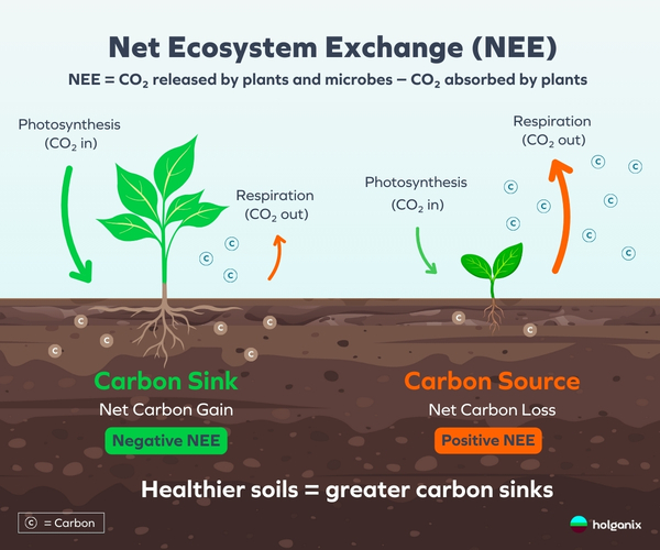 How Carbon Gets Dirty: The Science of Moving Carbon From Air to Soil