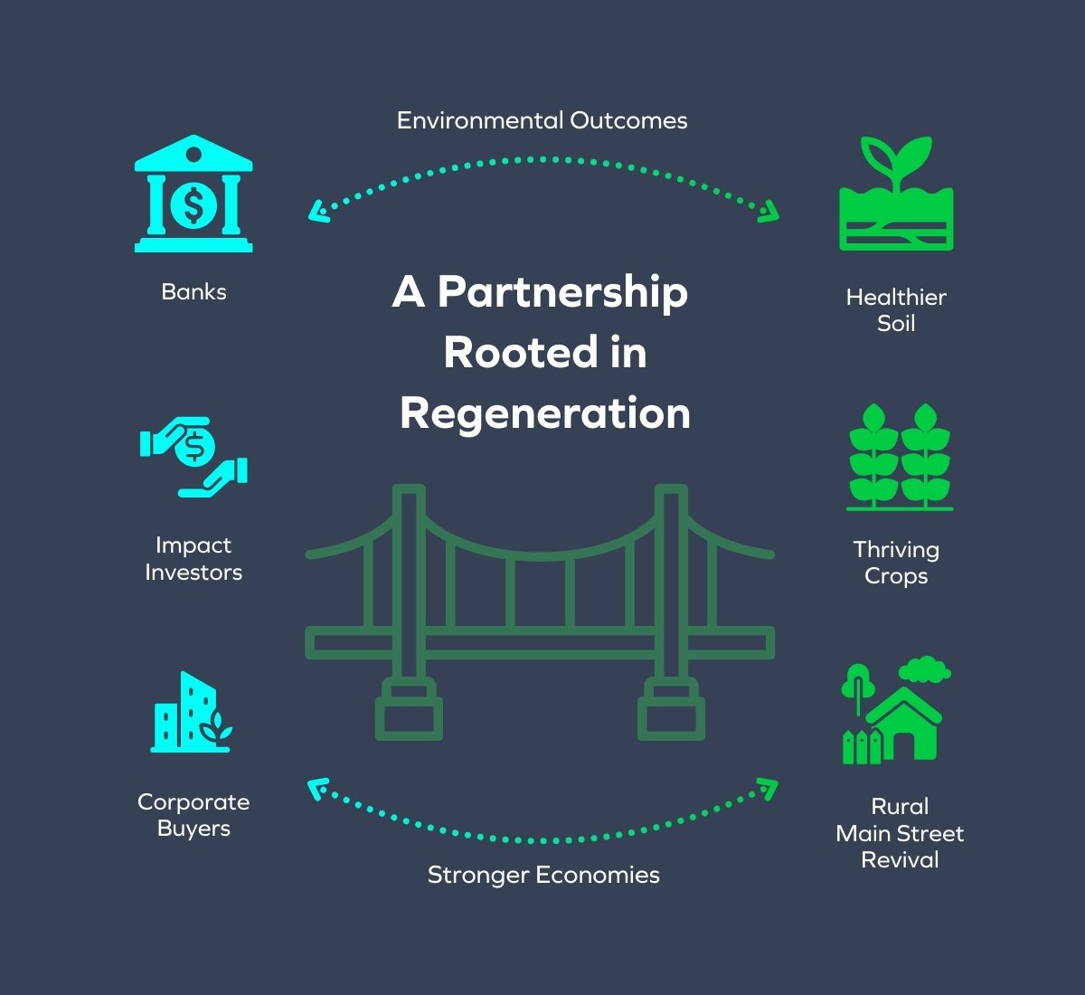 Holganix - Case Study - Partnership Infographic