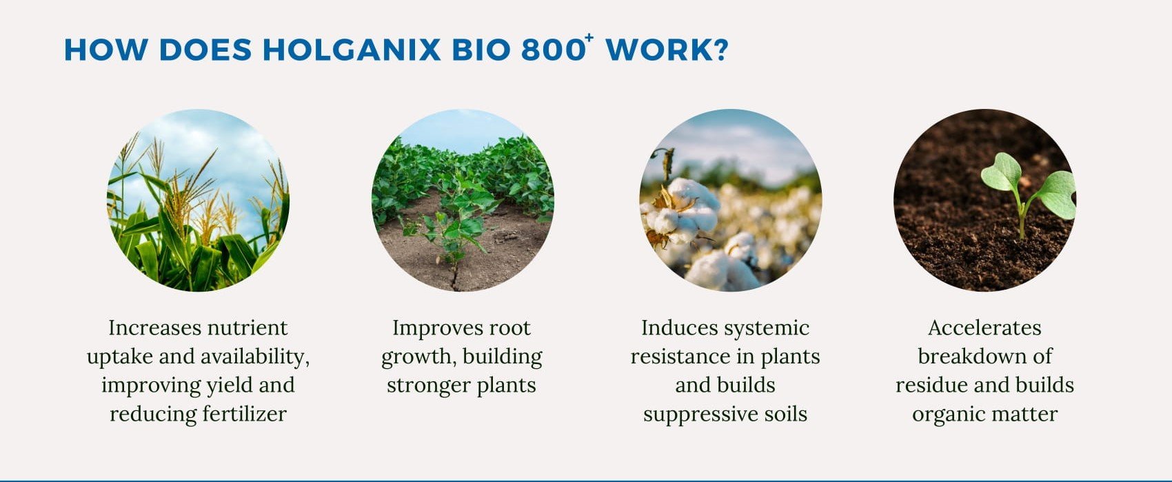 Bio 800 Tree and Shrub