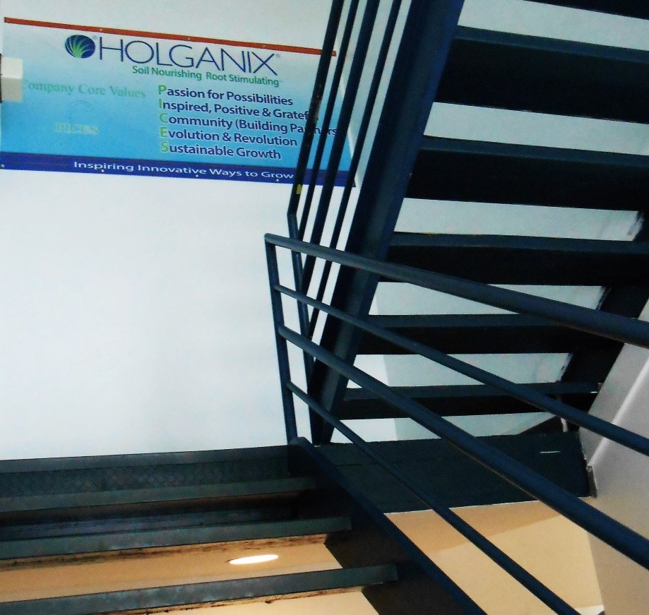 Holganix_stairwell.jpg