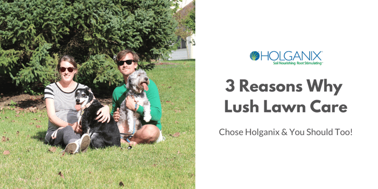 Lush Lawn Care