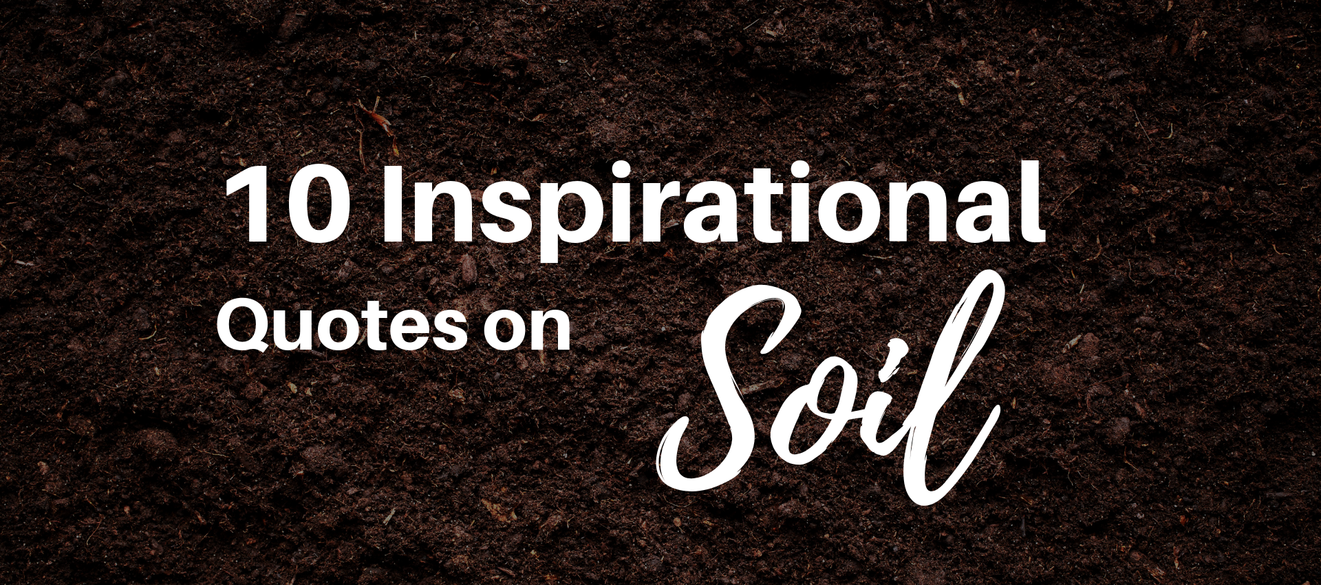 10 Inspirational Quotes On Soil