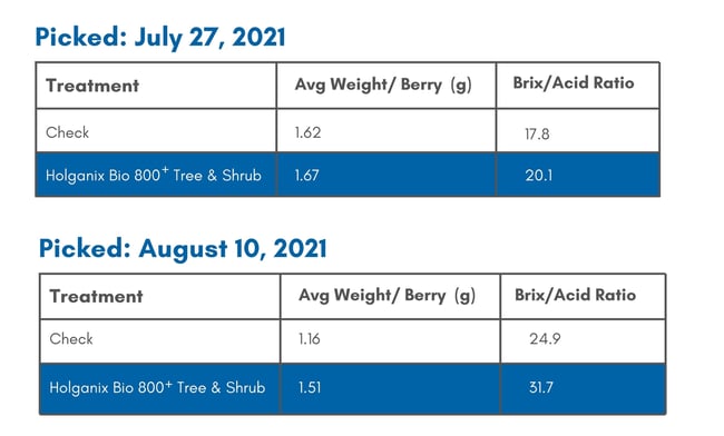 berries brix data 