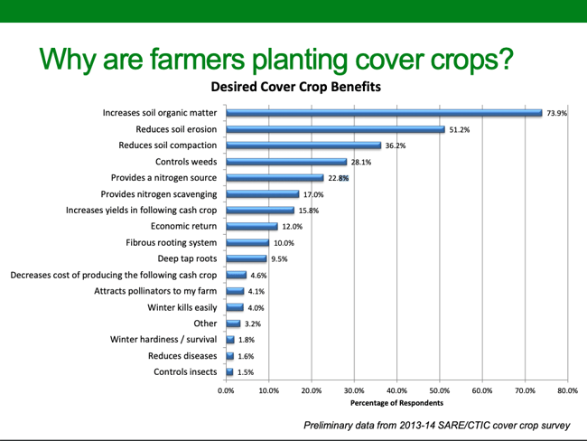 why cover crops