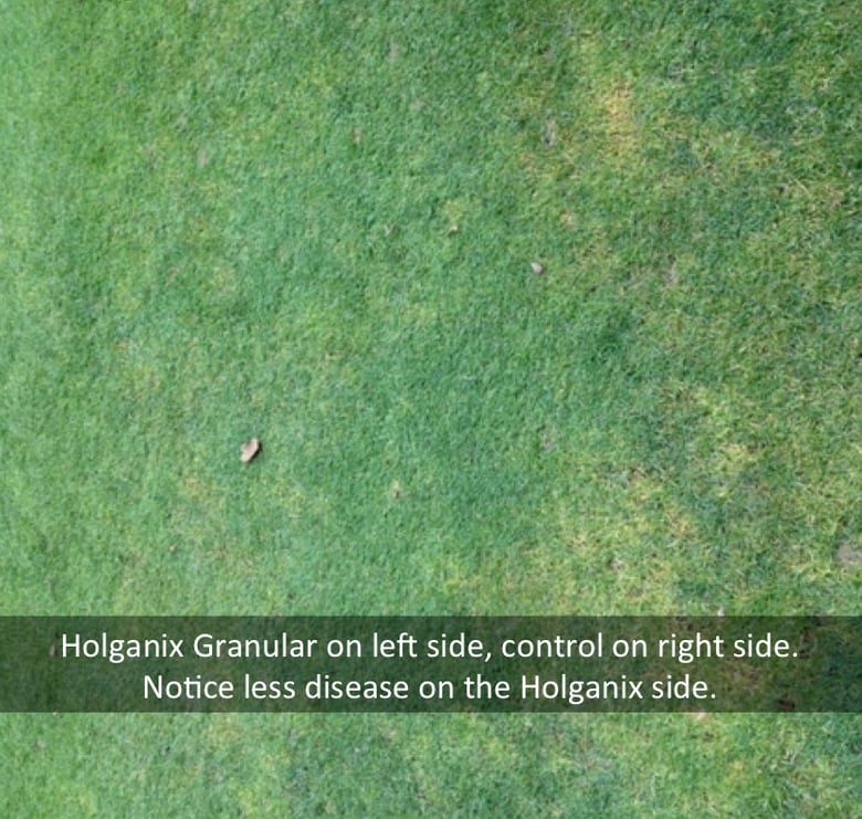 Screen_Shot_2015-05-05_at_10.16.33_AM
