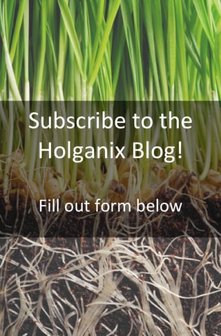 the holganix blog lawn