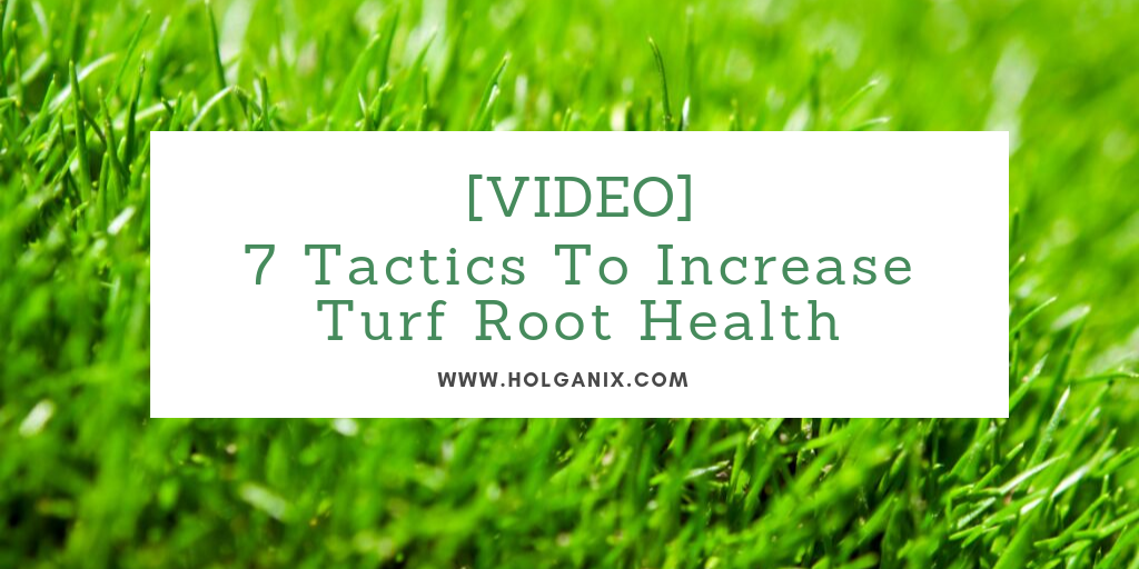 Turf root health