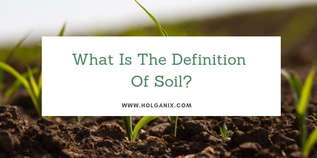 What Is The Definition Of Soil?