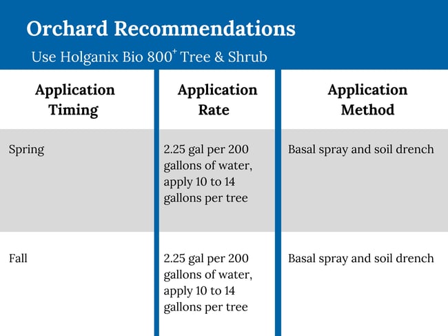 orchard growing