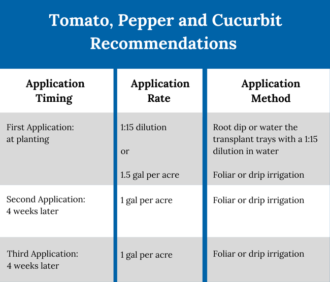 Website Update - Tomato Infographics 