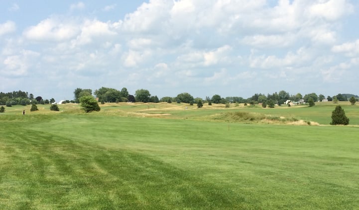 golf course seed