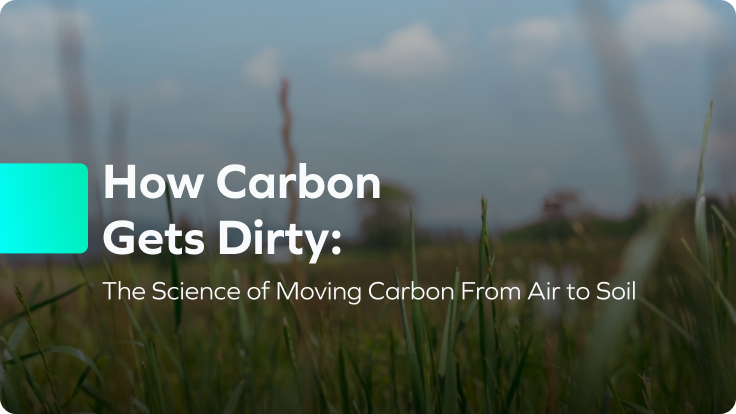 article-card-carbon