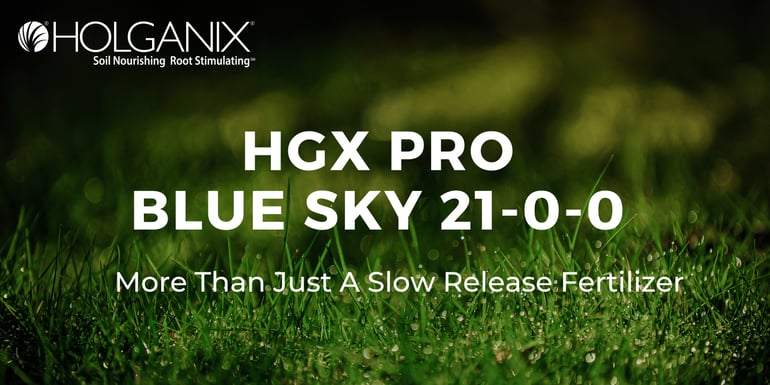 HGX Pro Blue Sky 
