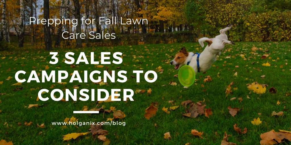 fall lawn care