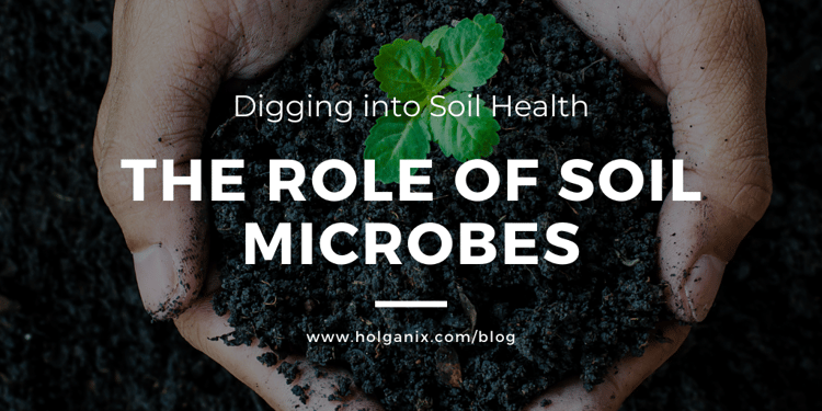 soil microbes build soil health