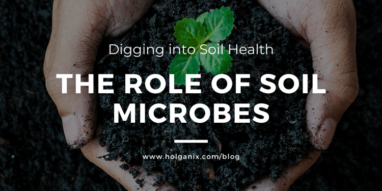 soil microbes build soil health