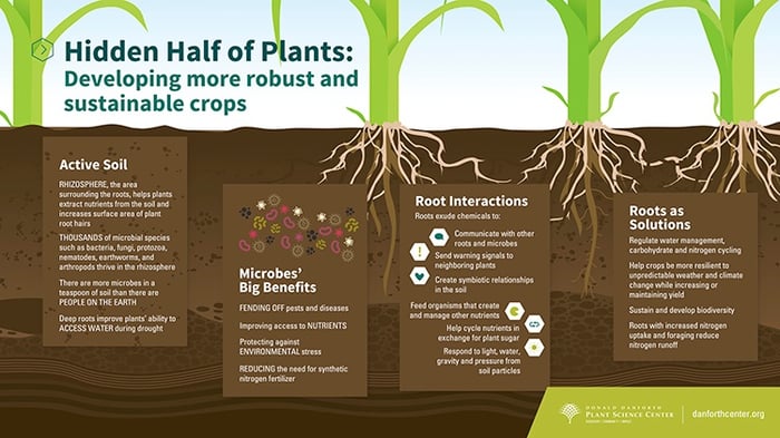 Growing Produce? How Holganix Bio 800 Increases Soil Health & Yield
