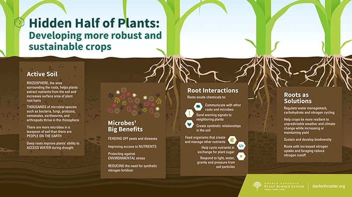 danforth-infographic-july-web_fullsize-1