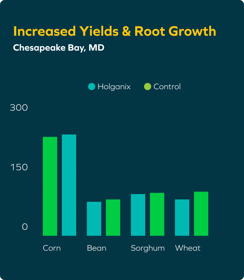 data chart