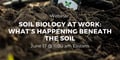Soil Biology at Work - What’s Happening Beneath the Soil