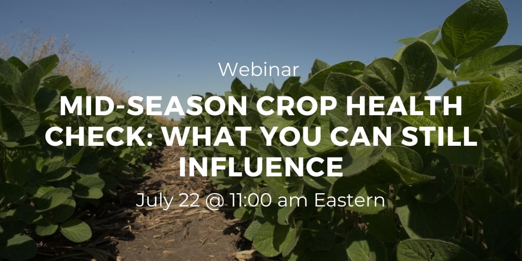 crop health