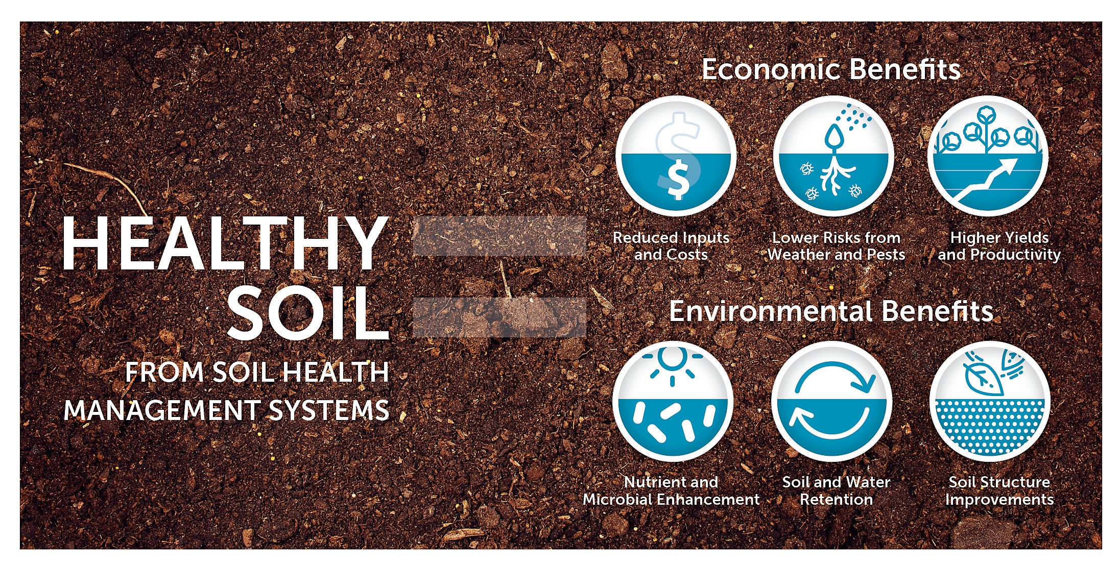 healthy soil