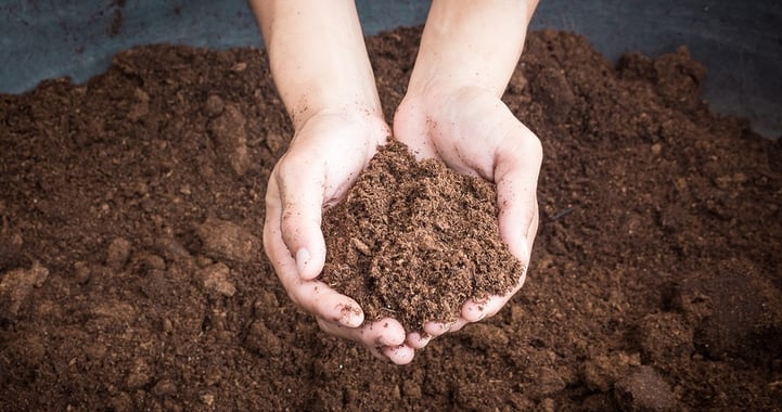 Healthy Soil