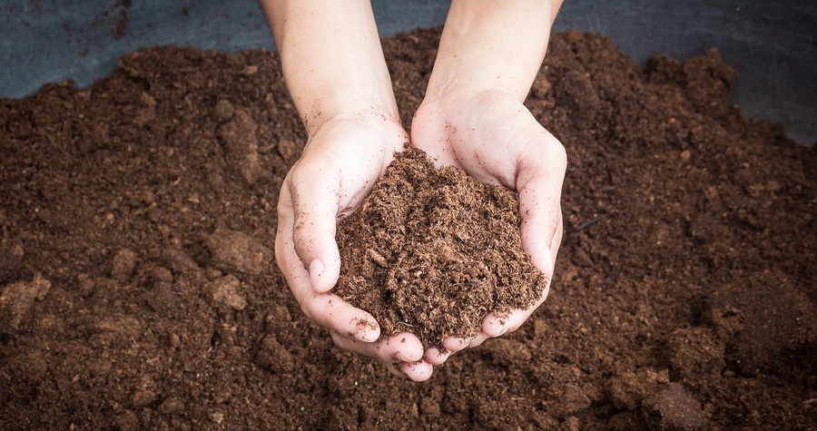 What Are The Components Of Healthy Soil?