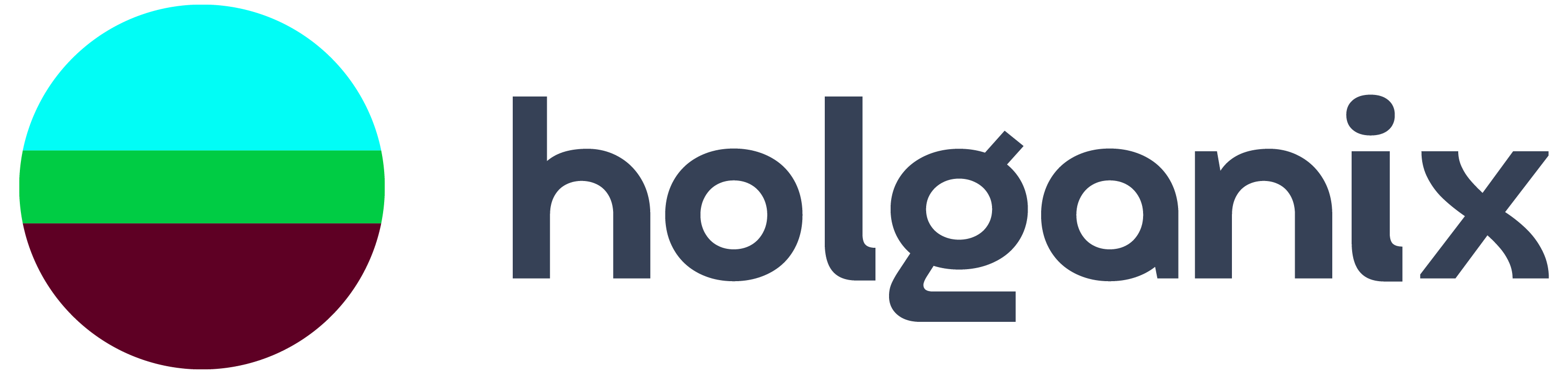 holganix-logo-horz-rgb-color-pos (1)