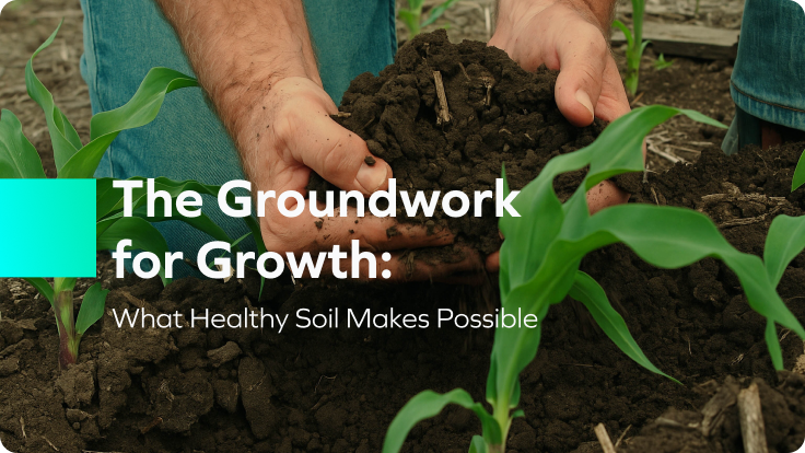 article-card-groundwork