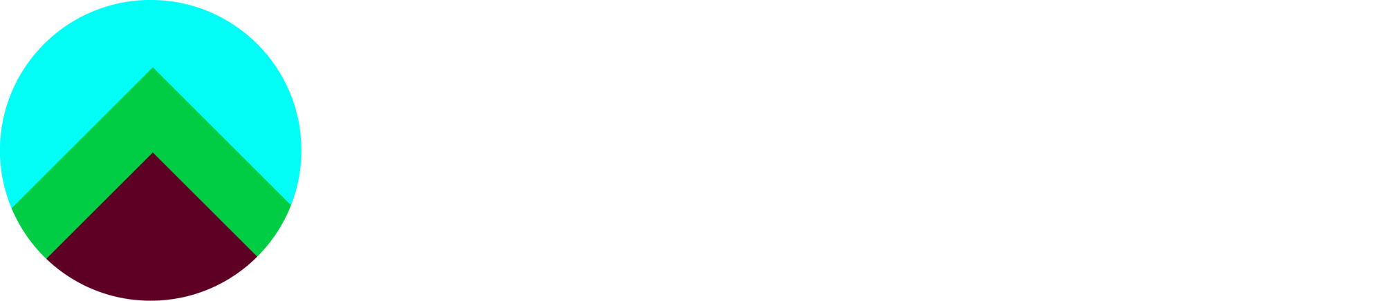 hgx-earthrise-logo-rev-rgb