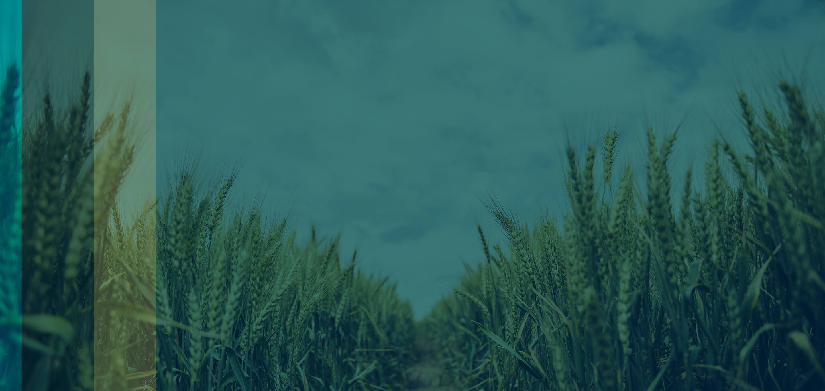 hgx-masthead-background