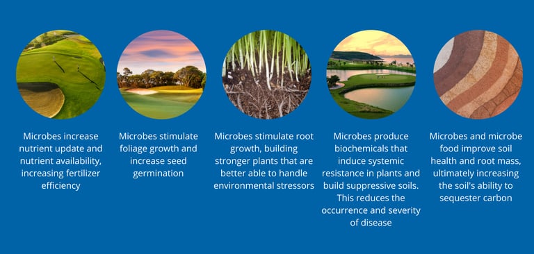 how holganix bio 800 golf works