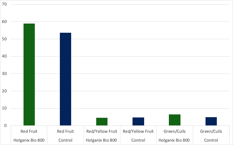 Tomato results