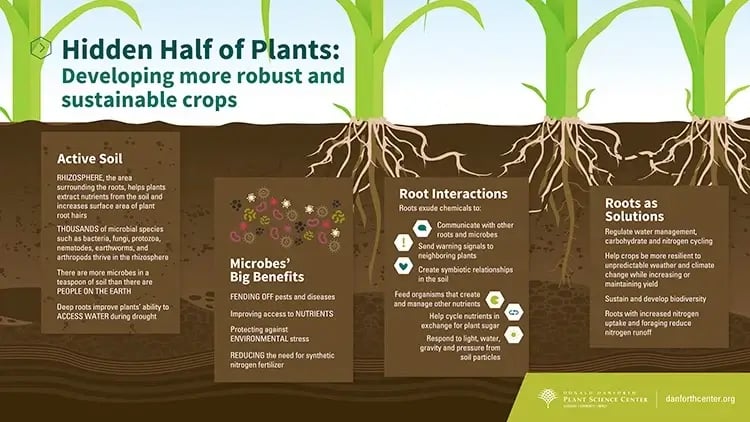 6 Fabulous Infographics about Soil Health [INFOGRAPHIC]