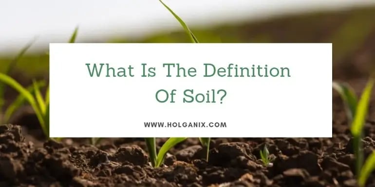What_Is _The_Definition_Of_Soil?