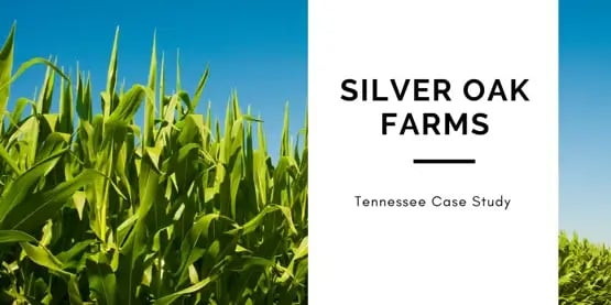 Silver-Oak-Farms