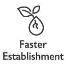 faster-establishment