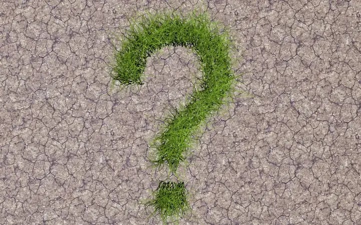 turf__drought