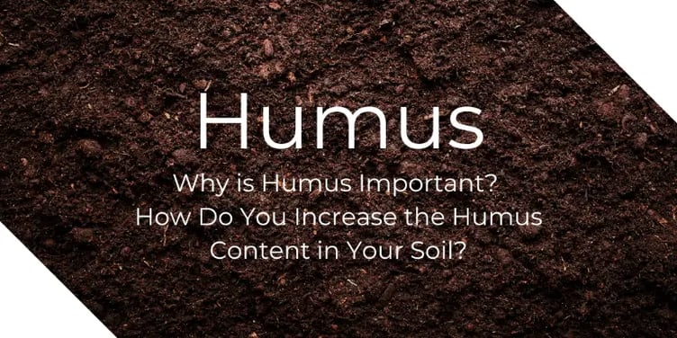 humus-important