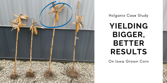 iowa banner
