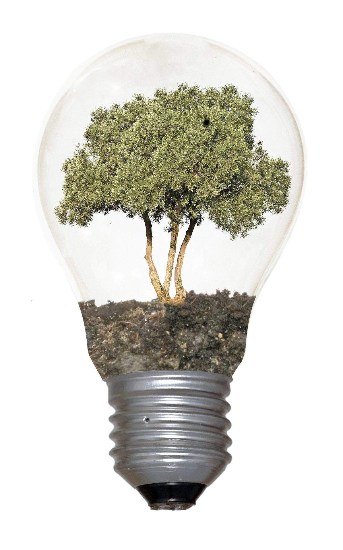 core values service industry