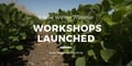 6 New Winter Webinars Workshops Launched