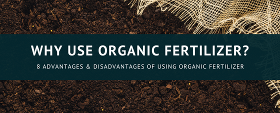organic fertilizer