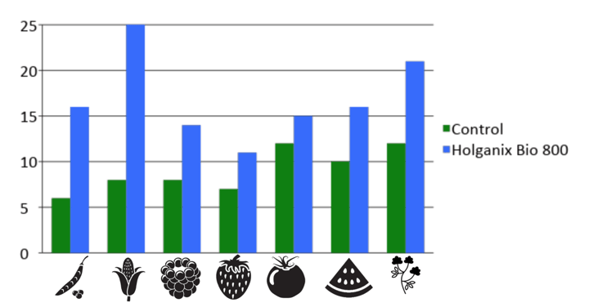 brix index studies
