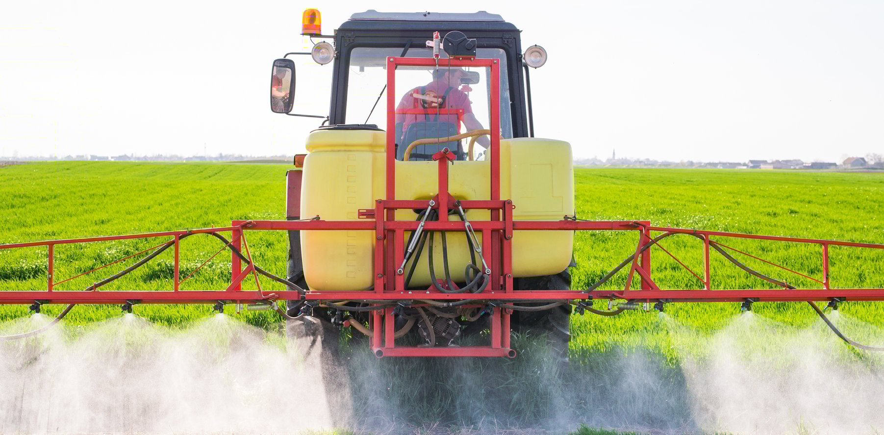 Organic pesticides? Here are 4