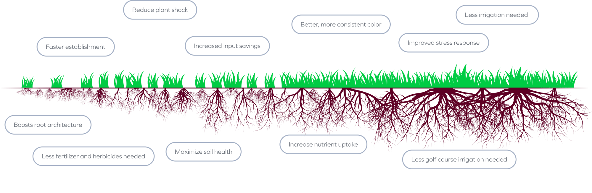 turf pro image